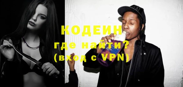 шишки Горно-Алтайск