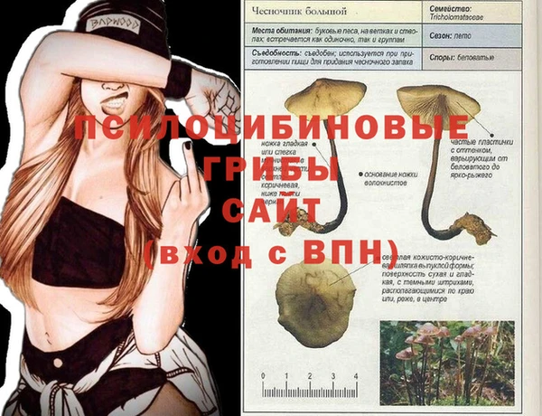 дмт Горняк