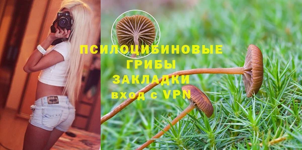 дмт Горняк