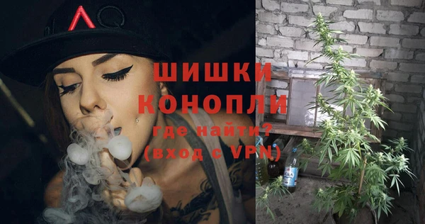 дмт Горняк