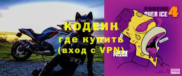 шишки Горно-Алтайск