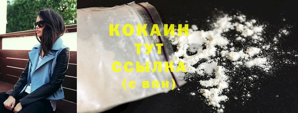 шишки Горно-Алтайск