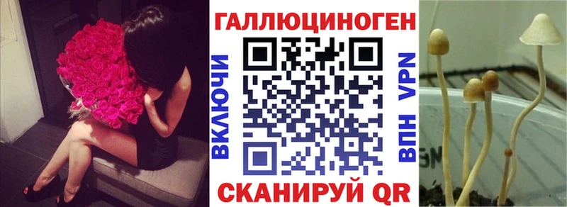 Галлюциногенные грибы Psilocybine cubensis  купить   Жердевка 